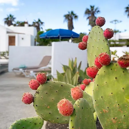 Casa Aloe * Haria